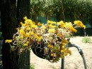Photo 052_resize * 500 x 375 * (72KB)